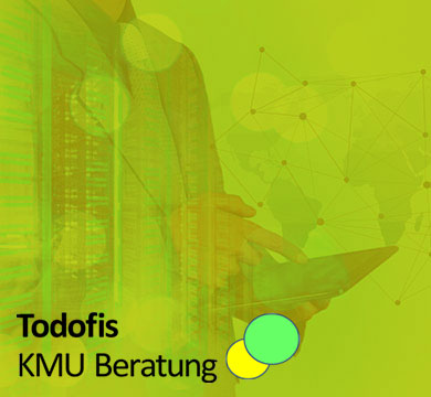 Todofis KMU Beratung – vernetzte Unternehmensanalyse